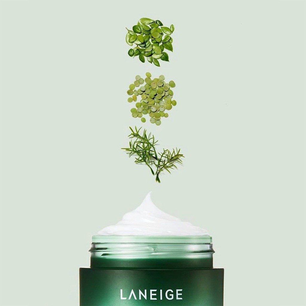 【FIFI】LANEIGE 蘭芝 睡美人香氛水凝膜  積雪草10G